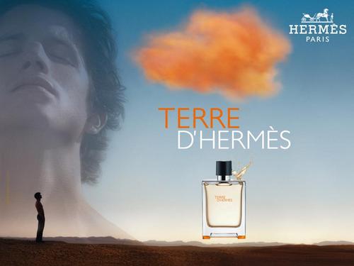 TERRE D'HERMES EDT